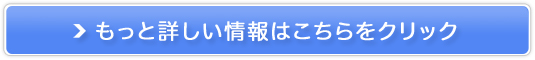 cAwAwAZp̃ICpbXN[ynb`N WjAz̔TCg